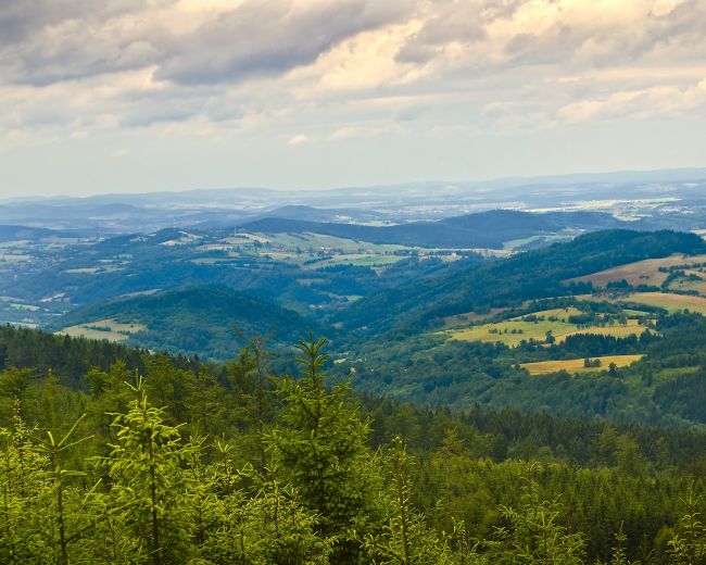 We Dwoje w Dusznikach